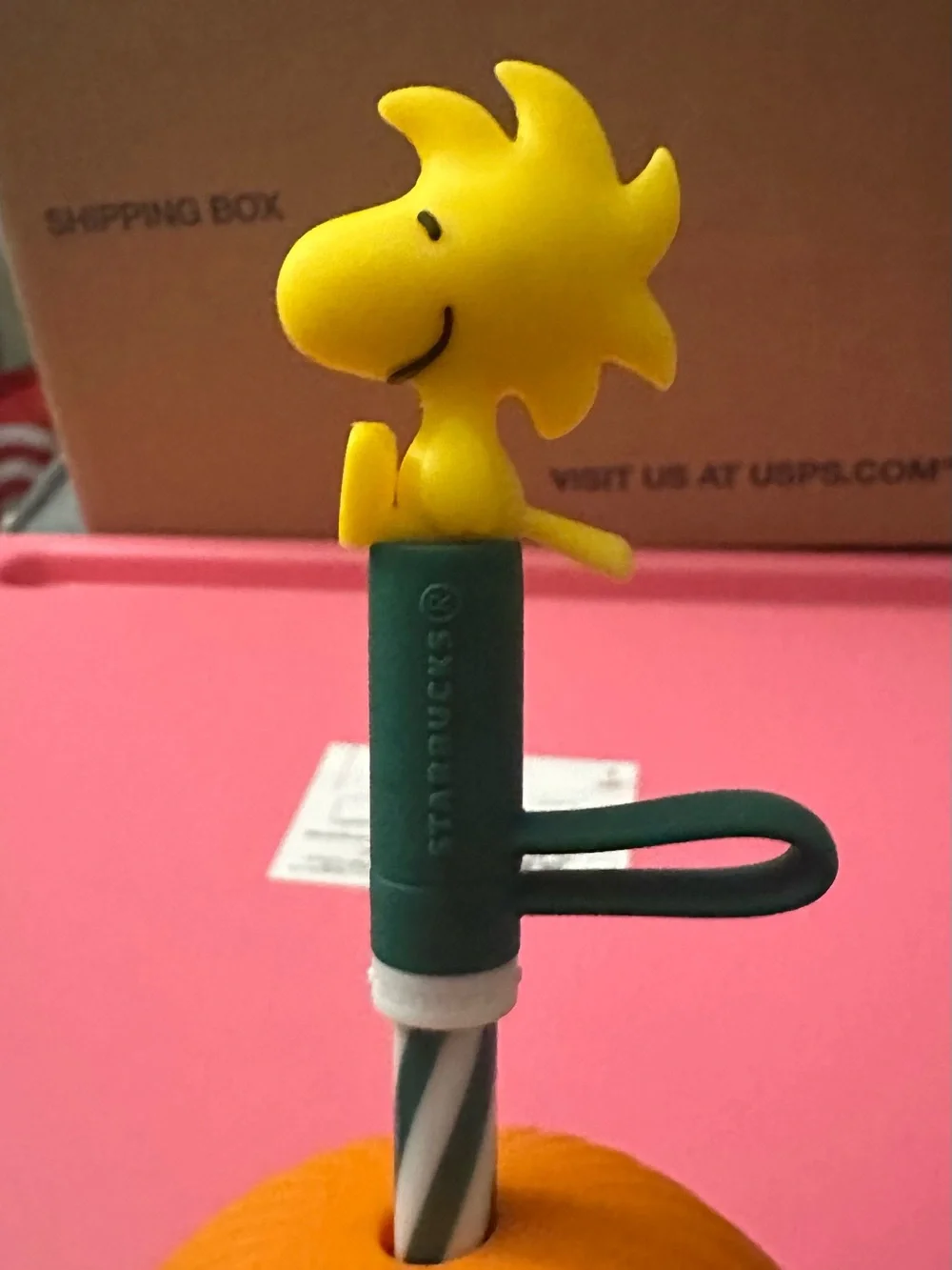 Starbucks new box